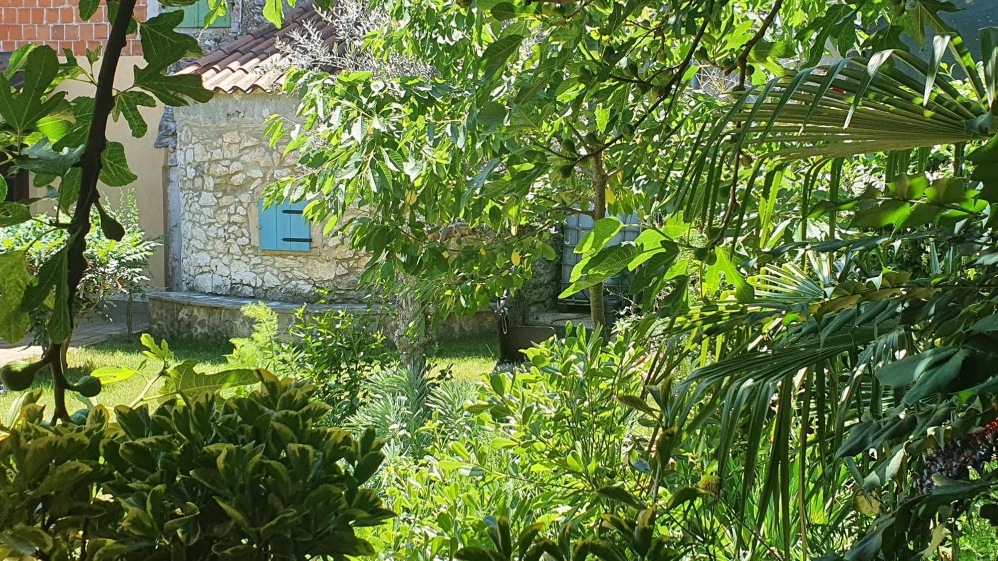 Villa Kazun With Private Pool And Two Gardens Marčana Εξωτερικό φωτογραφία
